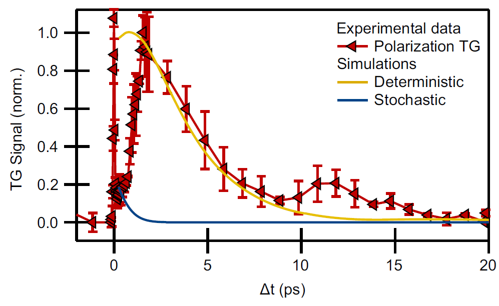 L. Foglia et al., Nature Communications 15, 10742 (2024)