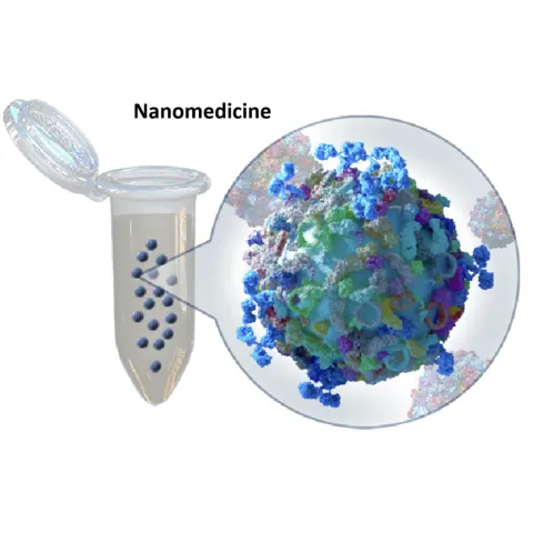 Nanomedicine